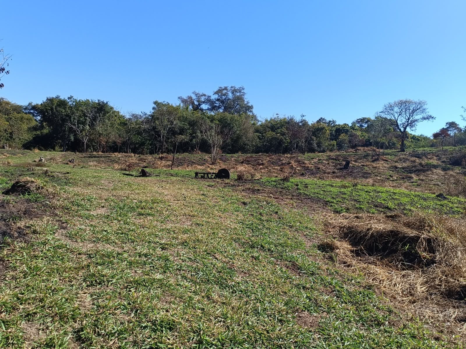 Terreno de Grande Porte
